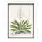 Stupell Industries Botanical Fern Illustration Wall Art in Black Frame
